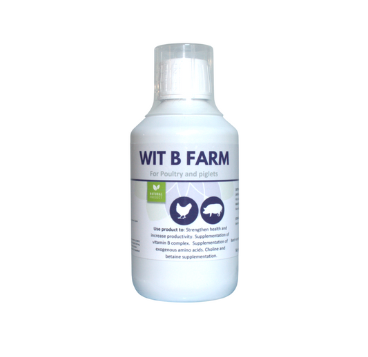 WIT B FARM